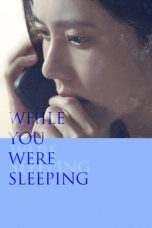 Movie poster: While You Were Sleeping (2024)